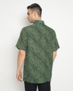 Arya Asoka - Image 4
