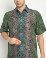 Arya Asoka - Image 3