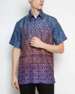 Langgara Warani - Image 2