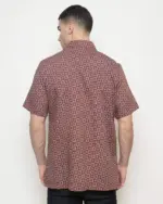 Pranatawira - Image 4